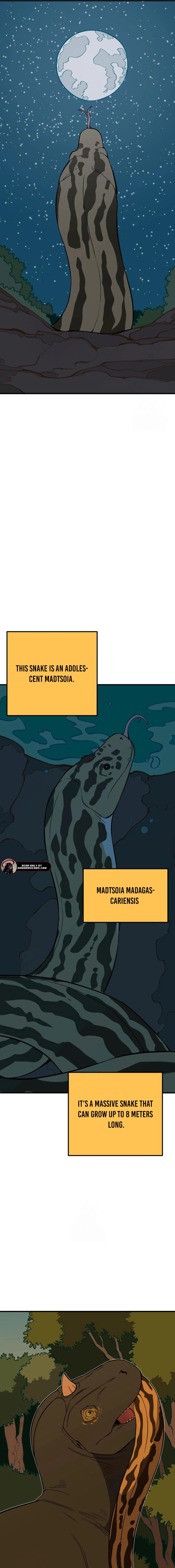 Read Ancient Animals Manga Online