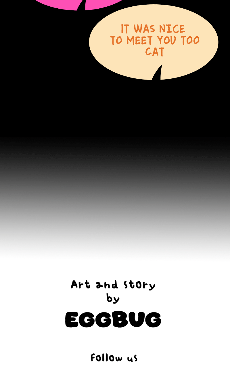 Read Cat Bird Dog Manga Online