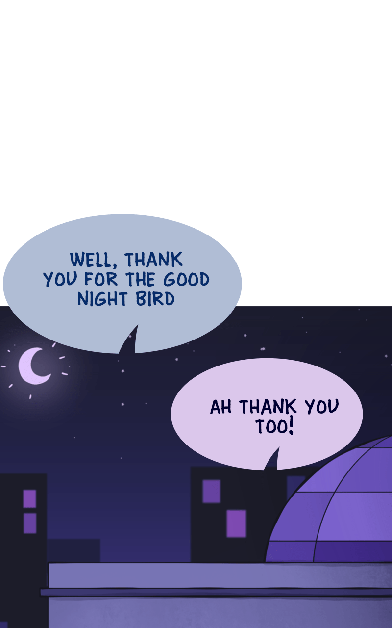 Read Cat Bird Dog Manga Online
