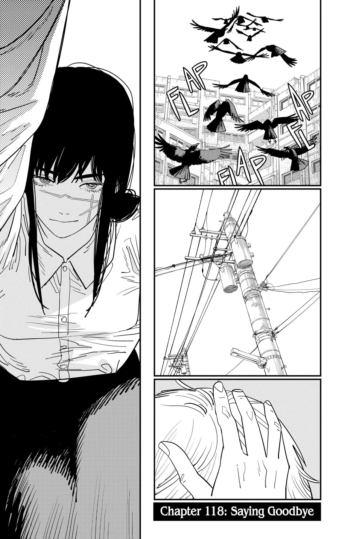 Read Chainsaw Man (EN) Manga Online