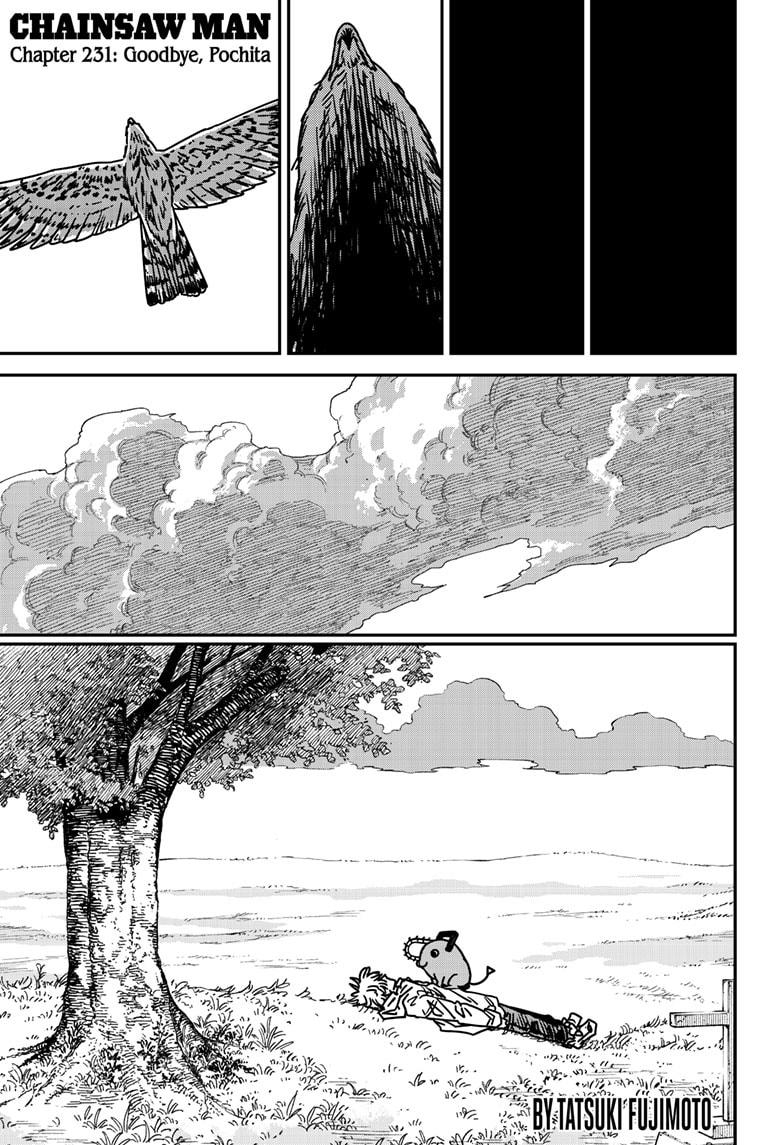 Read Chainsaw Man (EN) Manga Online
