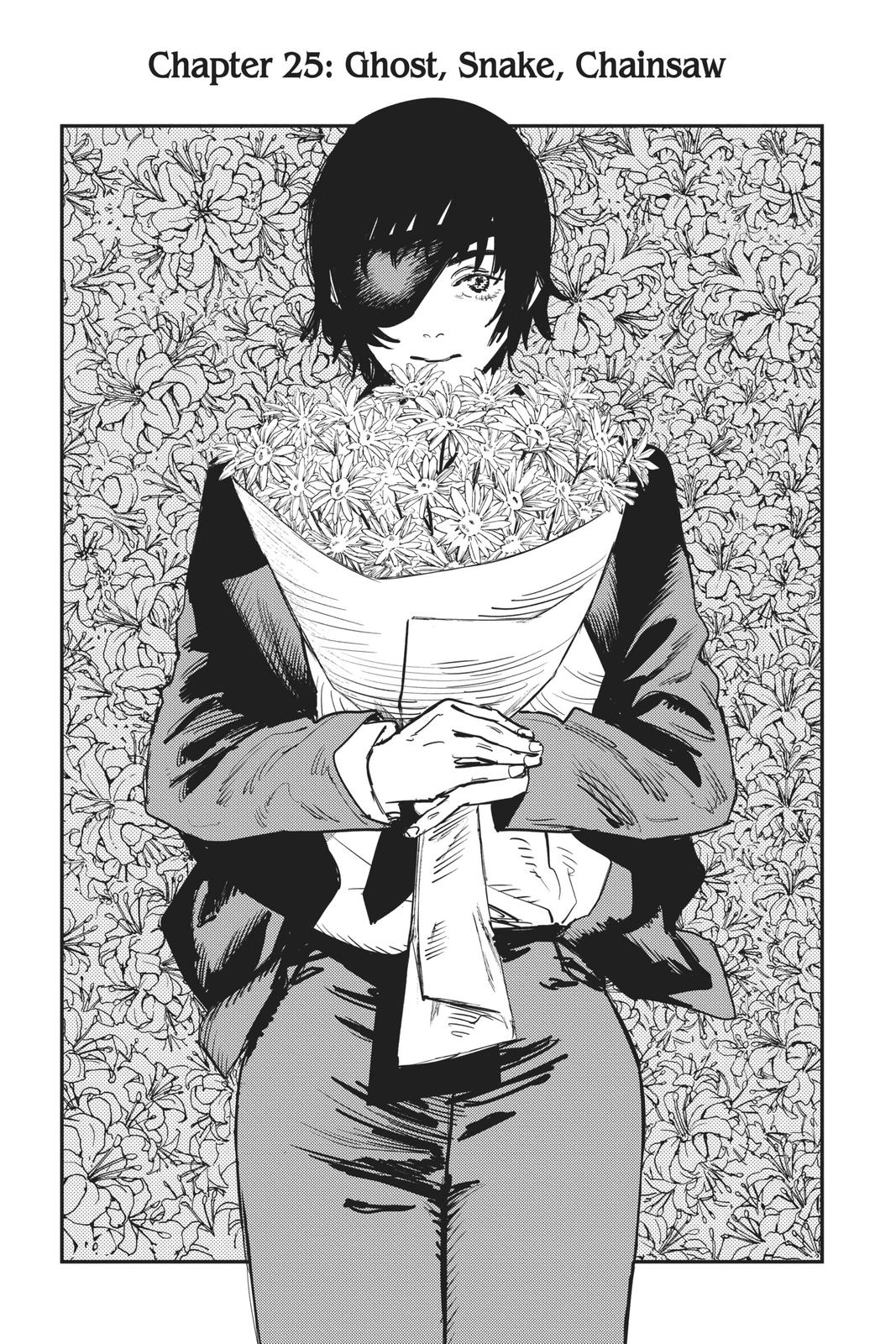 Read Chainsaw Man (EN) Manga Online