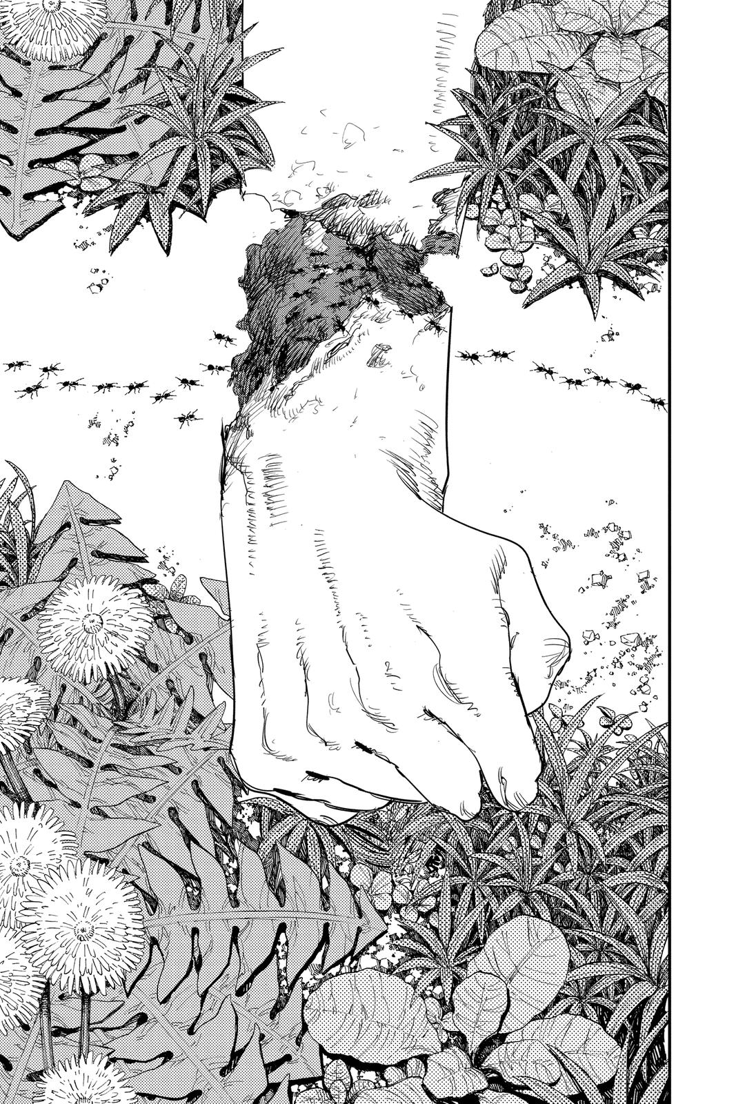 Read Chainsaw Man (EN) Manga Online