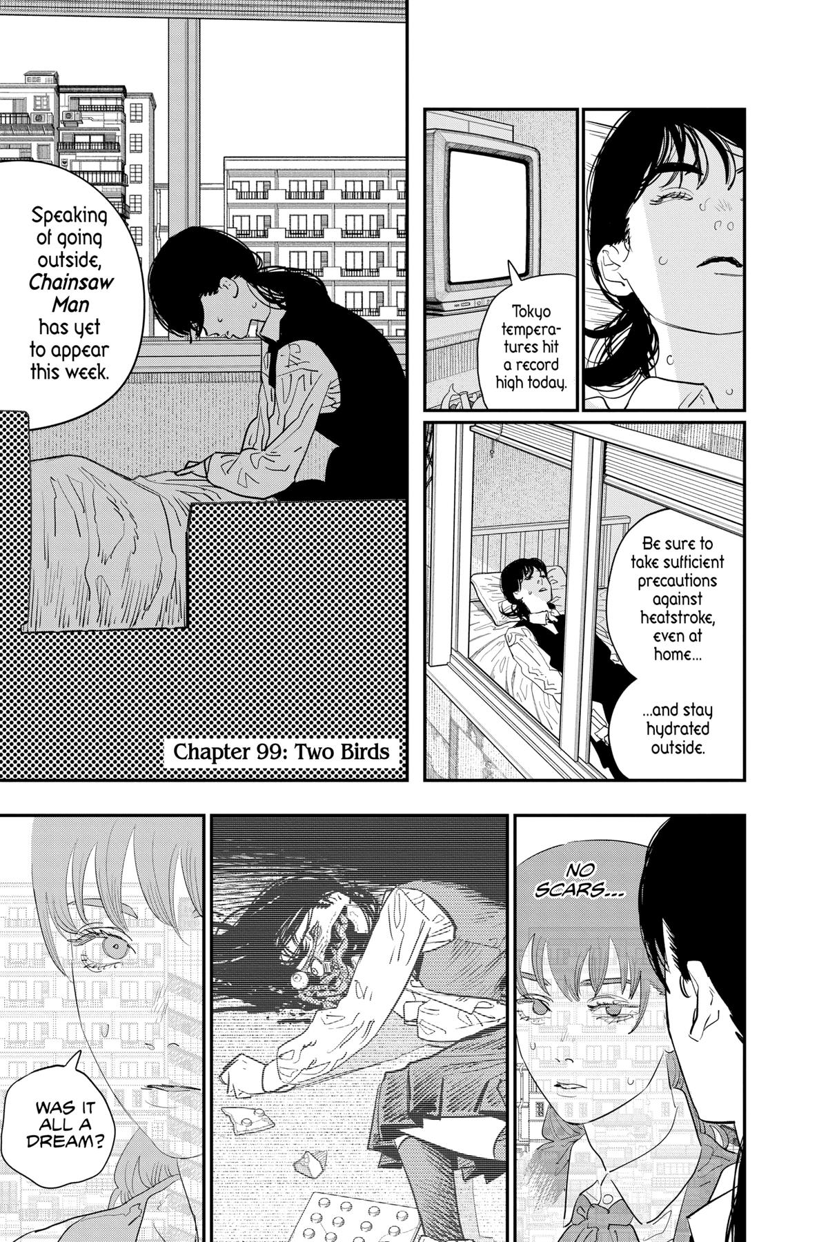 Read Chainsaw Man (EN) Manga Online