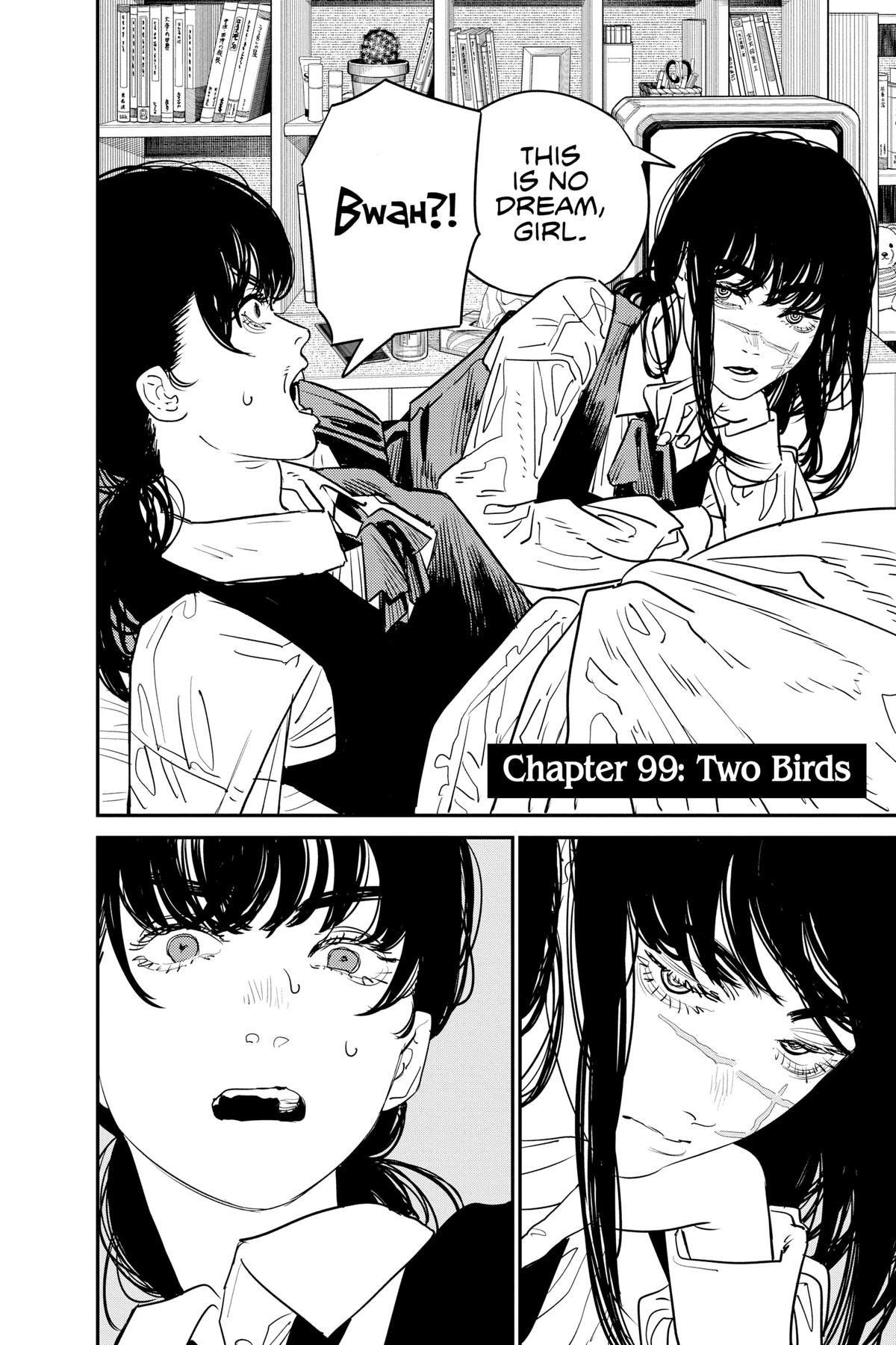 Read Chainsaw Man (EN) Manga Online