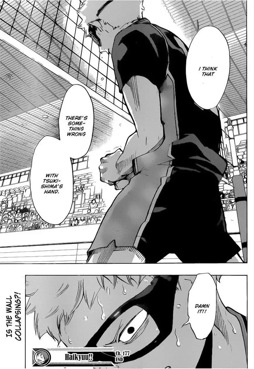 Read Haikyuu!! (EN) Manga Online