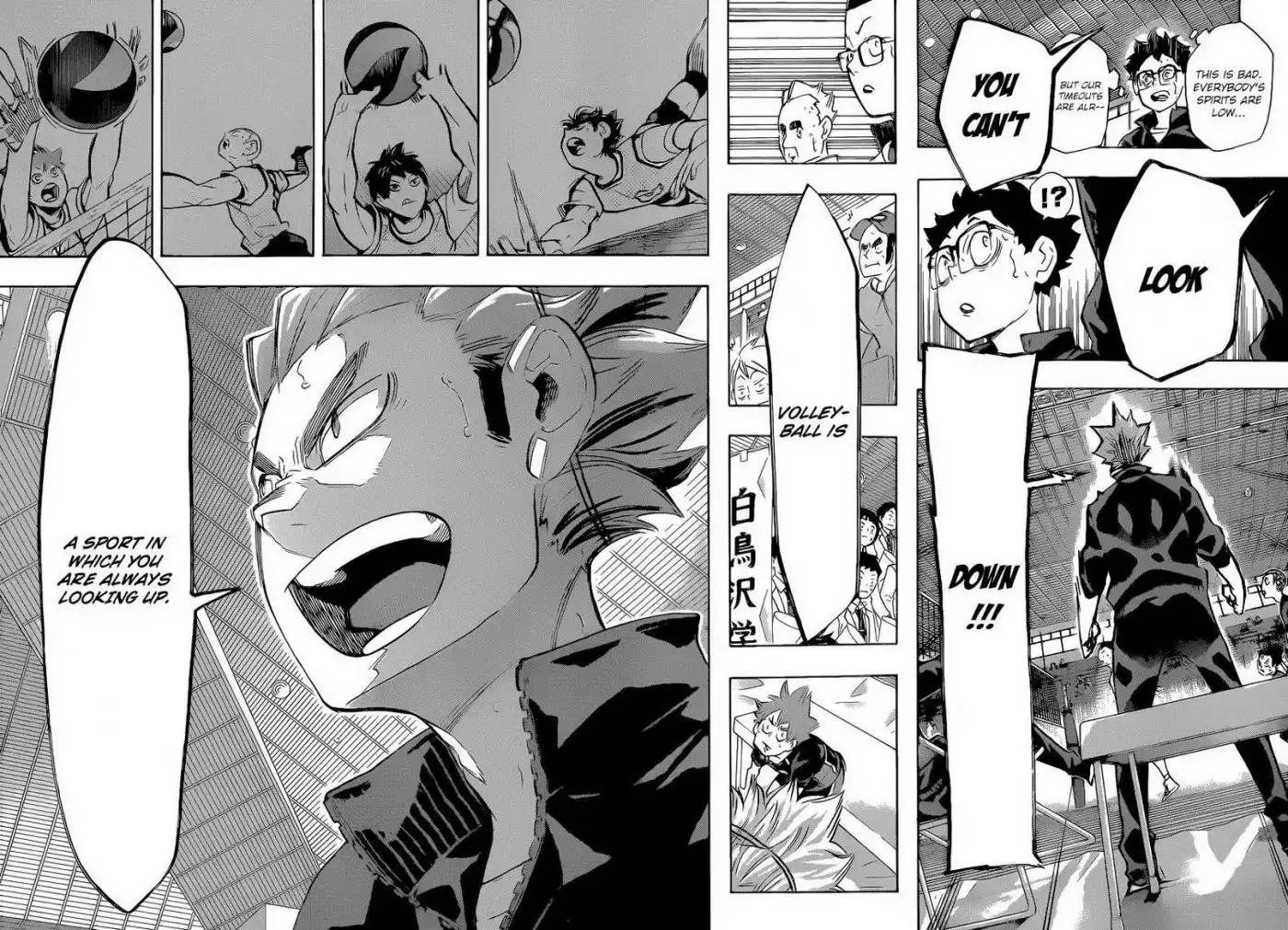 Read Haikyuu!! (EN) Manga Online