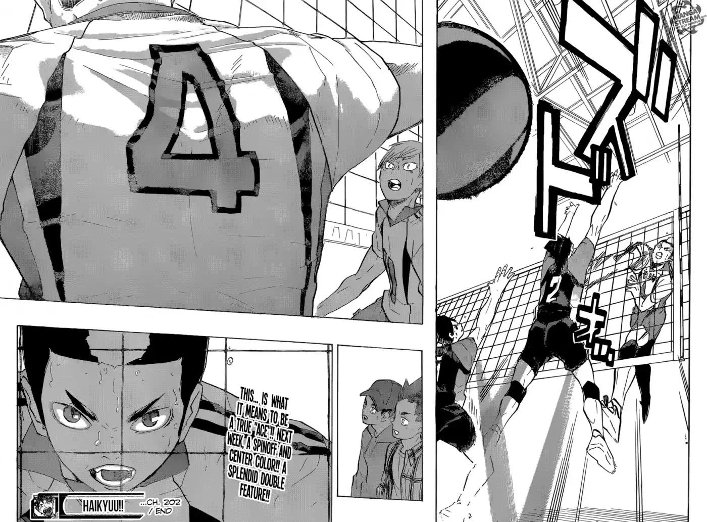 Read Haikyuu!! (EN) Manga Online