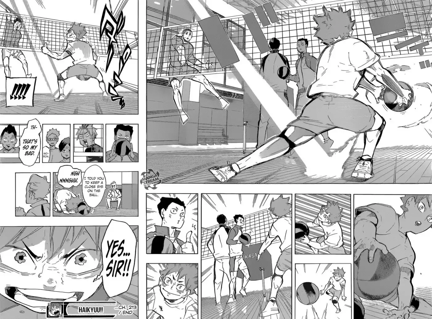 Read Haikyuu!! (EN) Manga Online