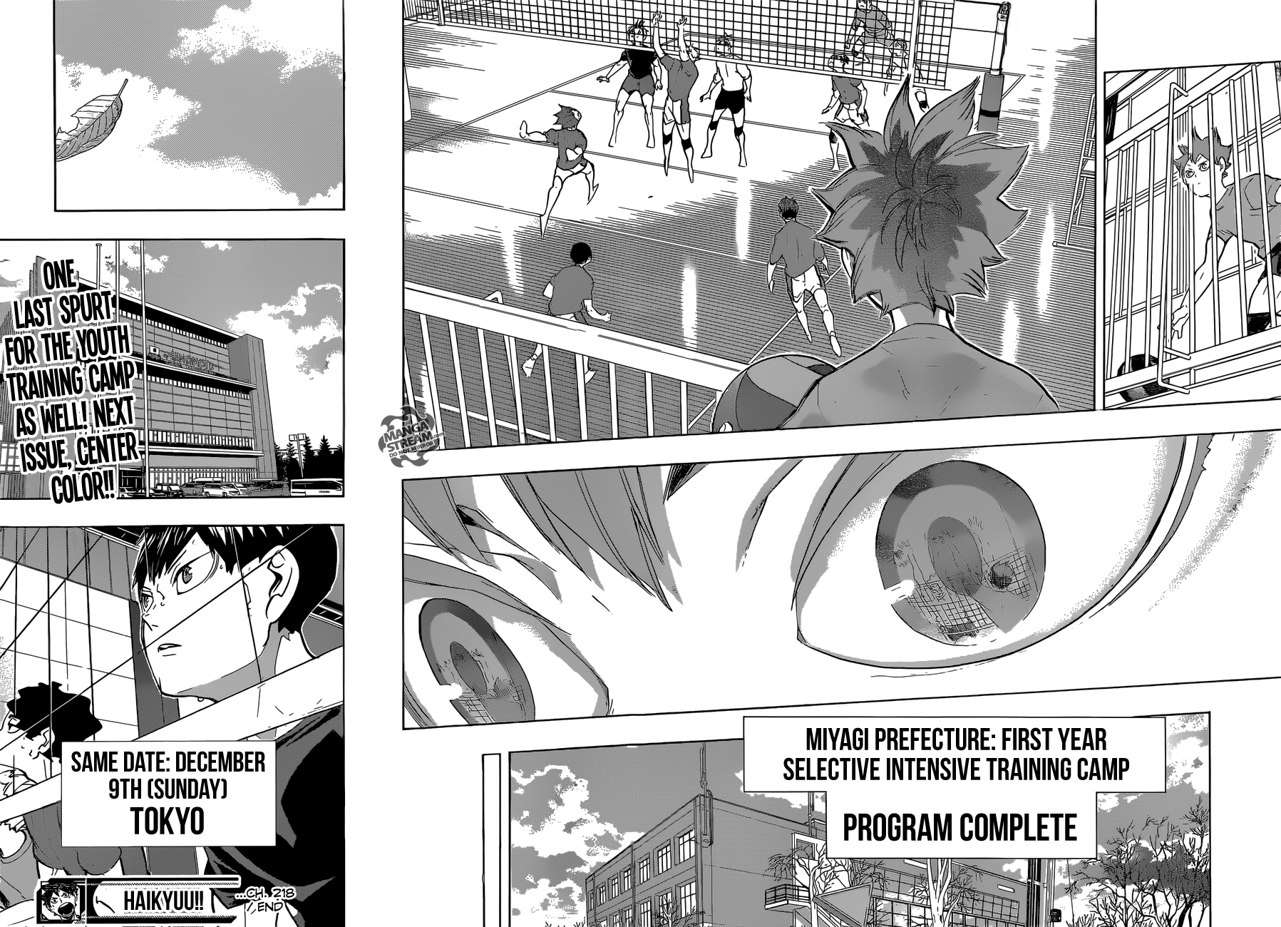 Read Haikyuu!! (EN) Manga Online