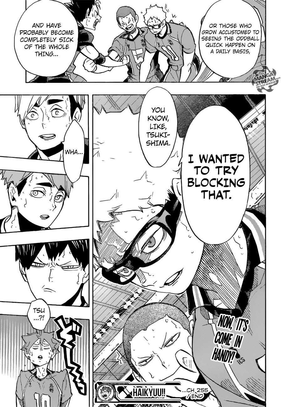 Read Haikyuu!! (EN) Manga Online