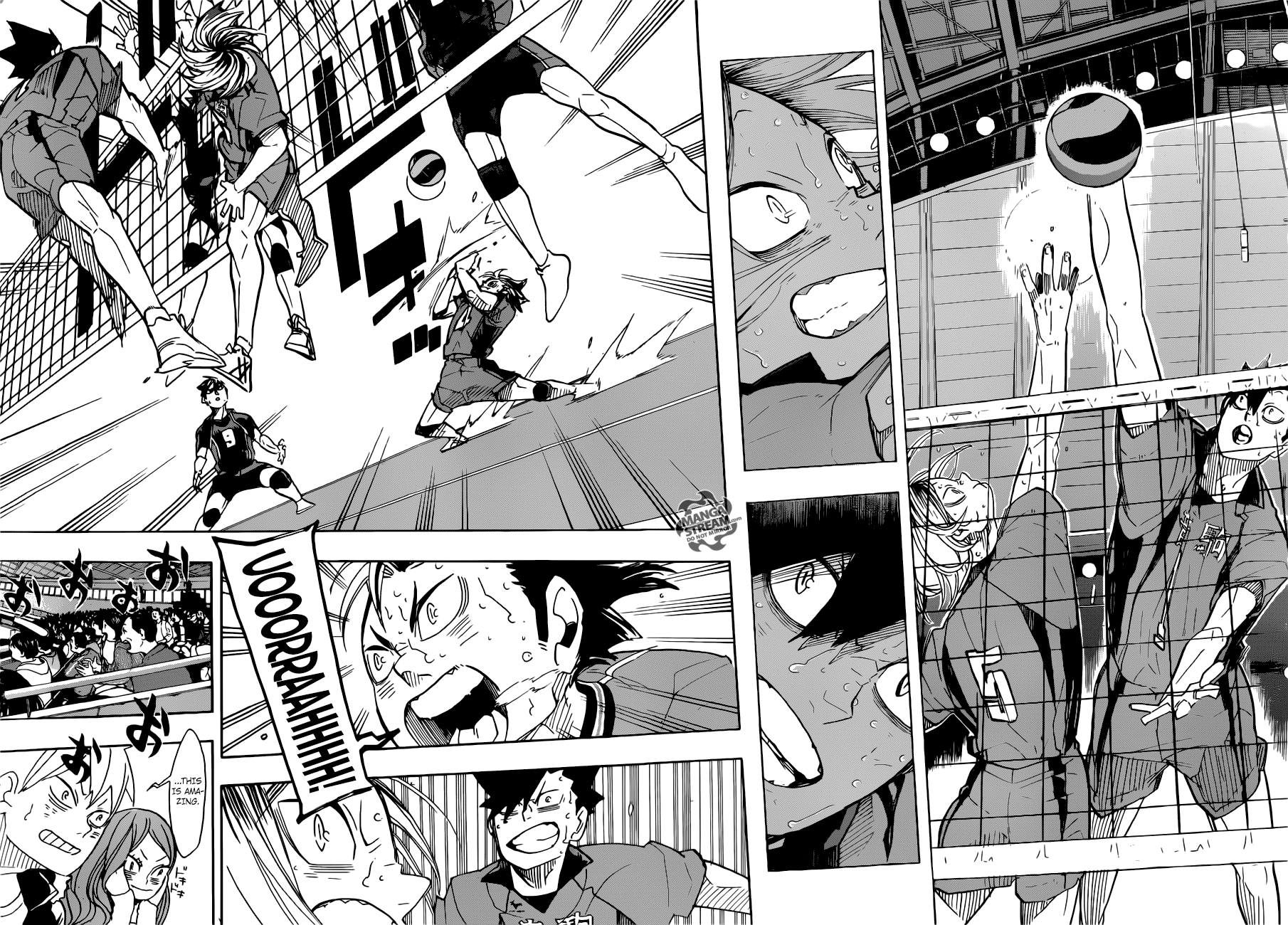 Read Haikyuu!! (EN) Manga Online