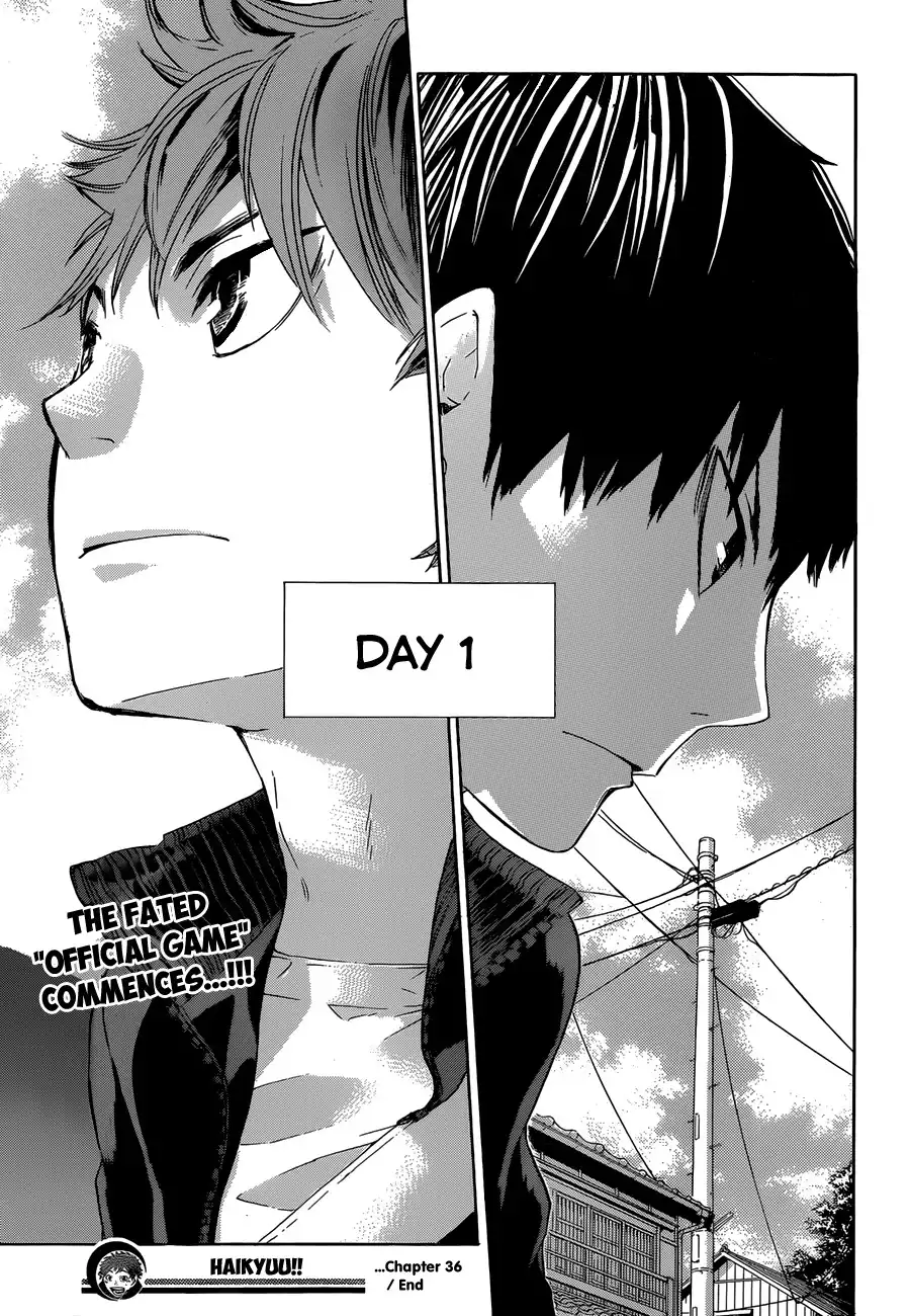 Read Haikyuu!! (EN) Manga Online