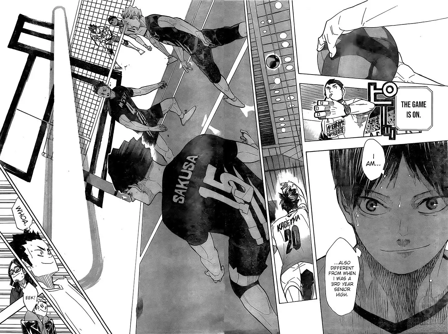 Read Haikyuu!! (EN) Manga Online