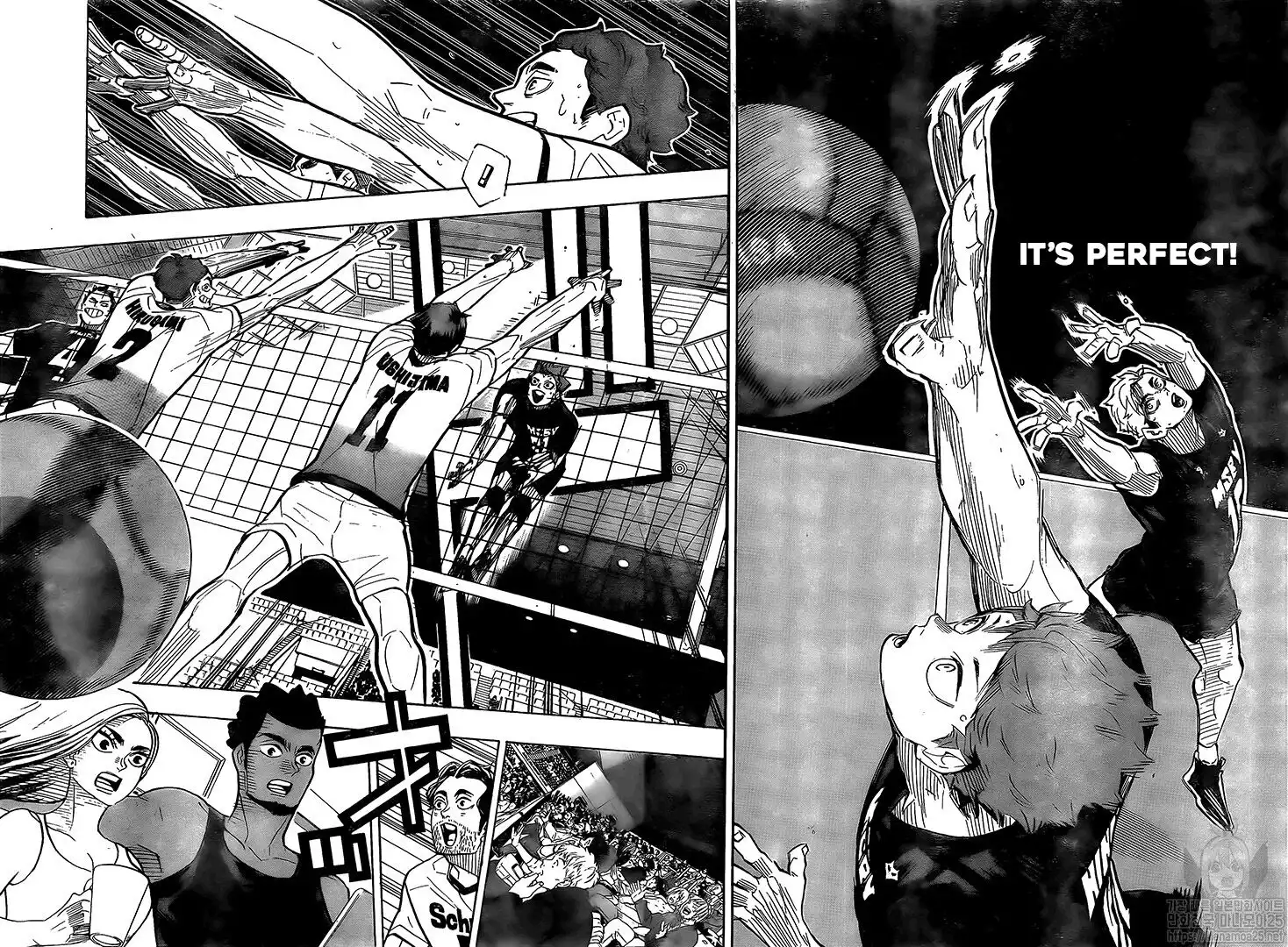 Read Haikyuu!! (EN) Manga Online