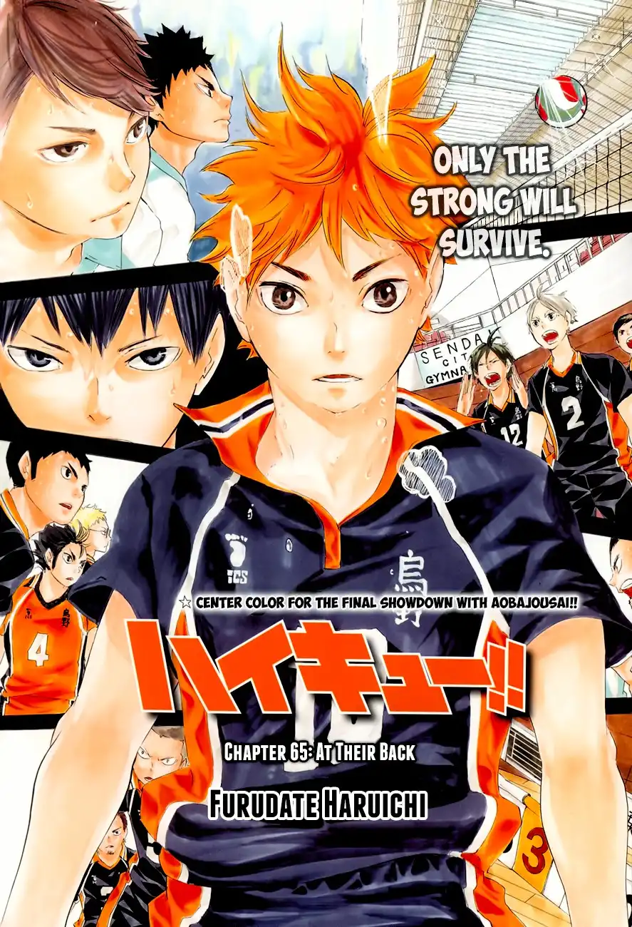Read Haikyuu!! (EN) Manga Online