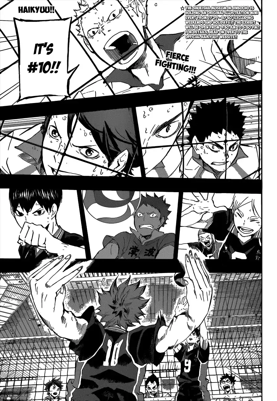 Read Haikyuu!! (EN) Manga Online