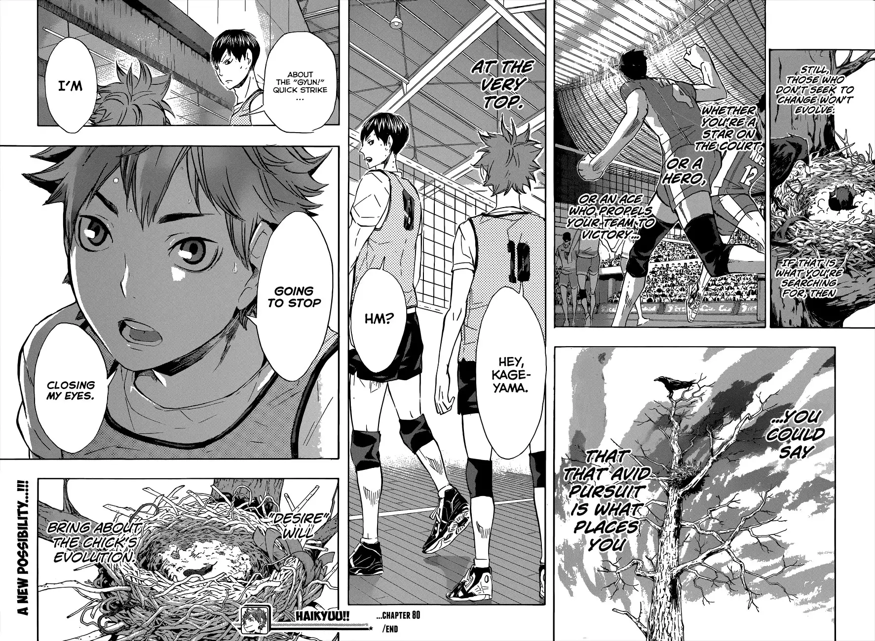 Read Haikyuu!! (EN) Manga Online