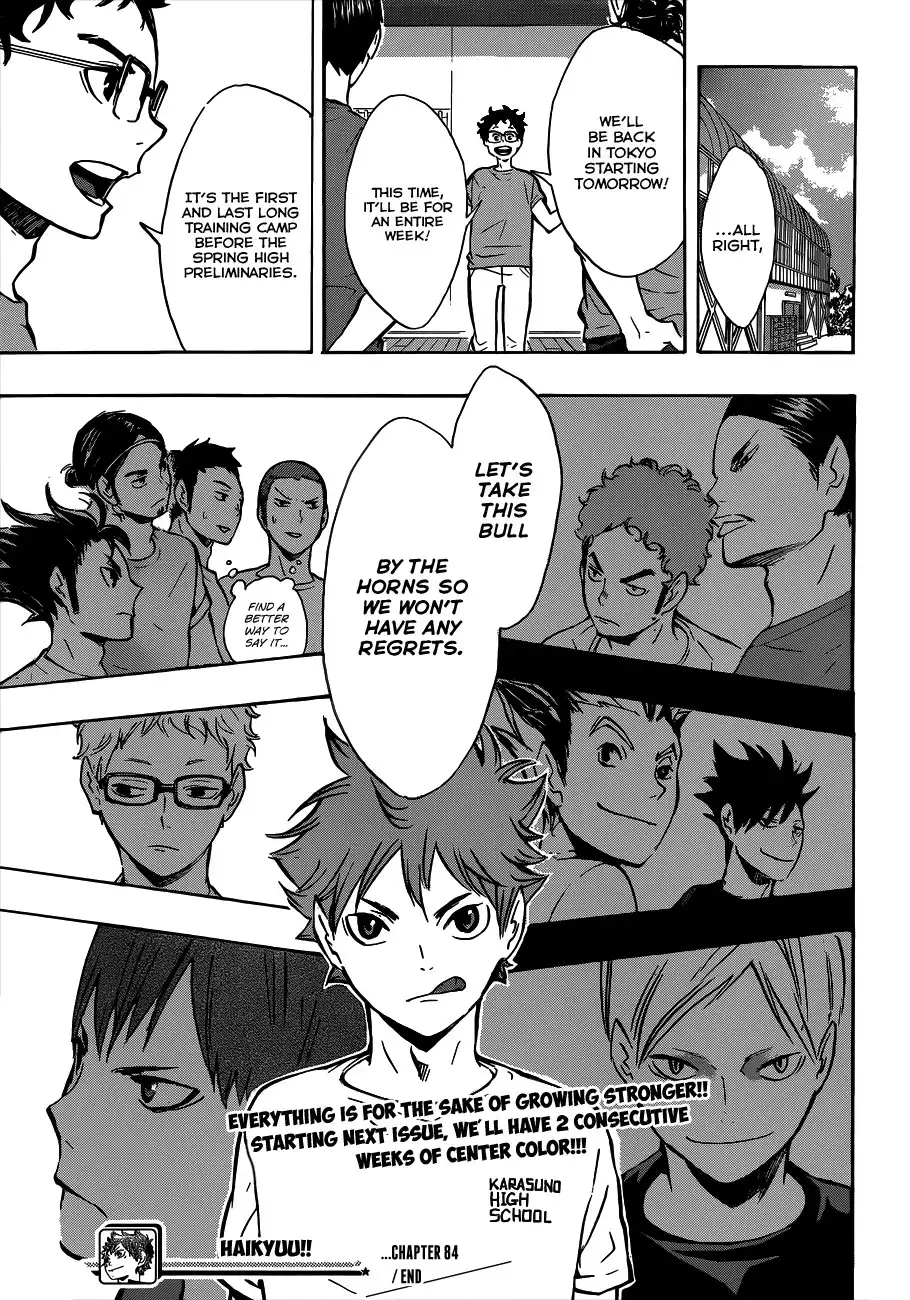 Read Haikyuu!! (EN) Manga Online