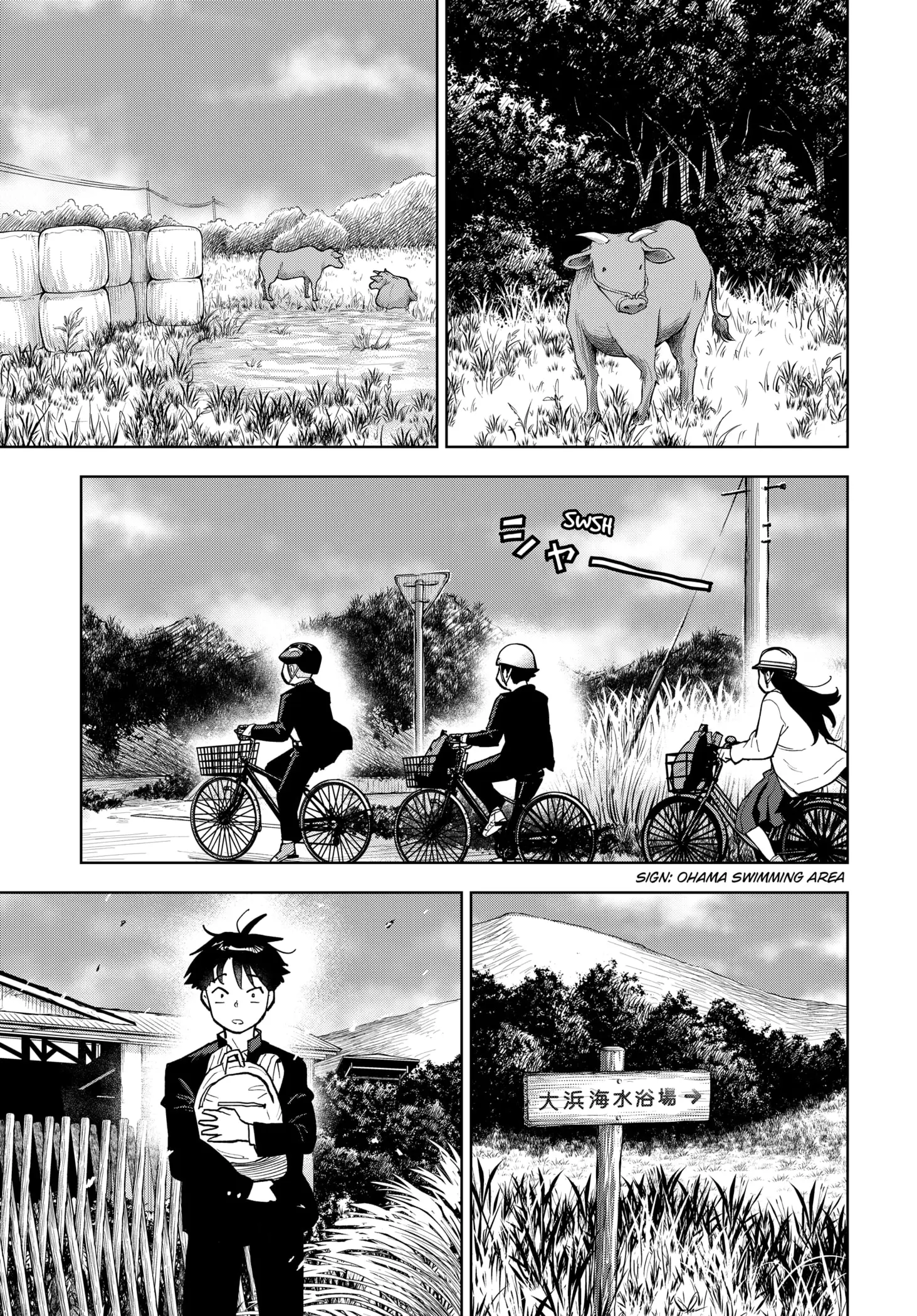 Read Island Rock Manga Online