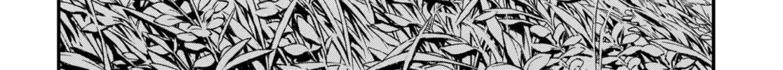 Read Money Forest (EN) Manga Online