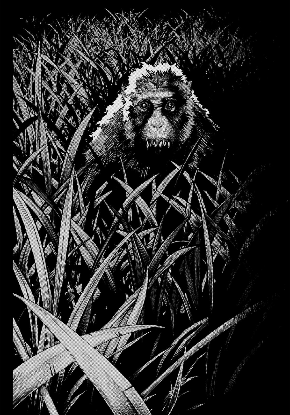 Read Monkey Hunting Manga Online