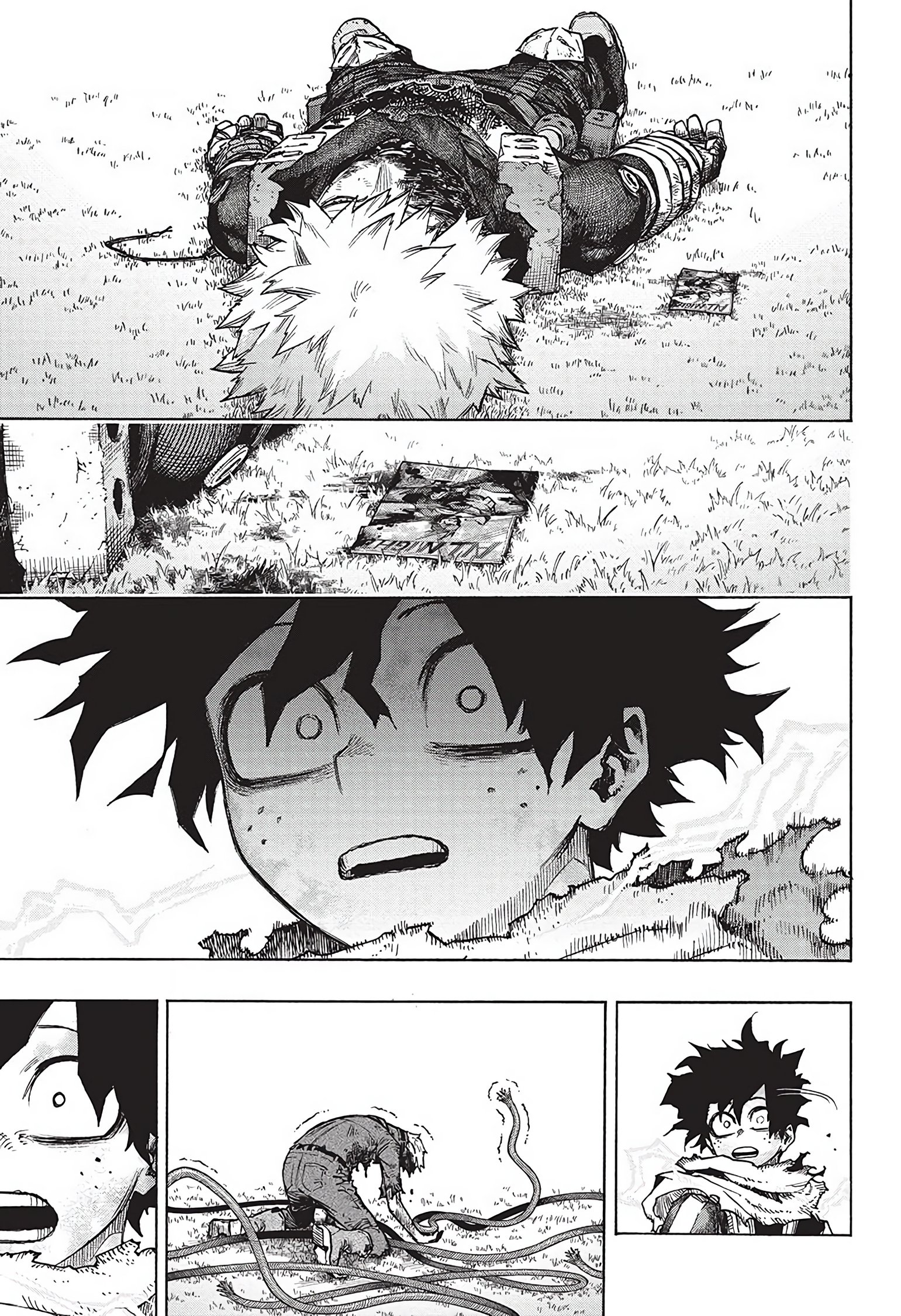 Read My Hero Academia (EN) Manga Online