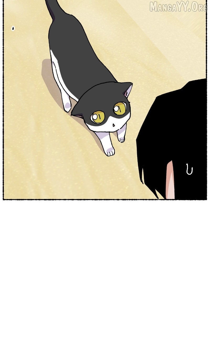 Read My Little Sister Is the Demon Lord! Manga Online