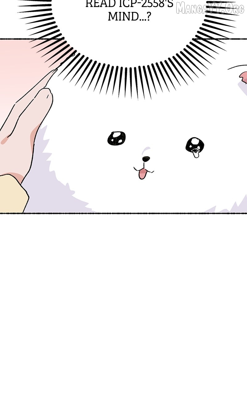 Read My Little Sister Is the Demon Lord! Manga Online