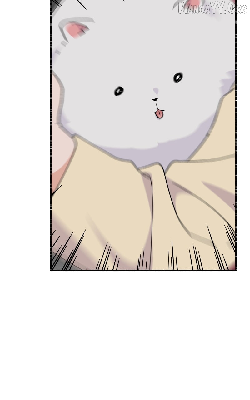 Read My Little Sister Is the Demon Lord! Manga Online