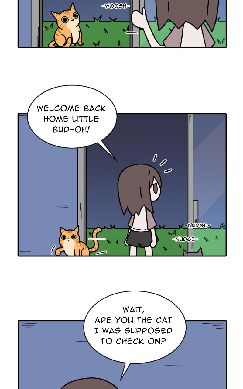 Read Nina Lives Alone Manga Online