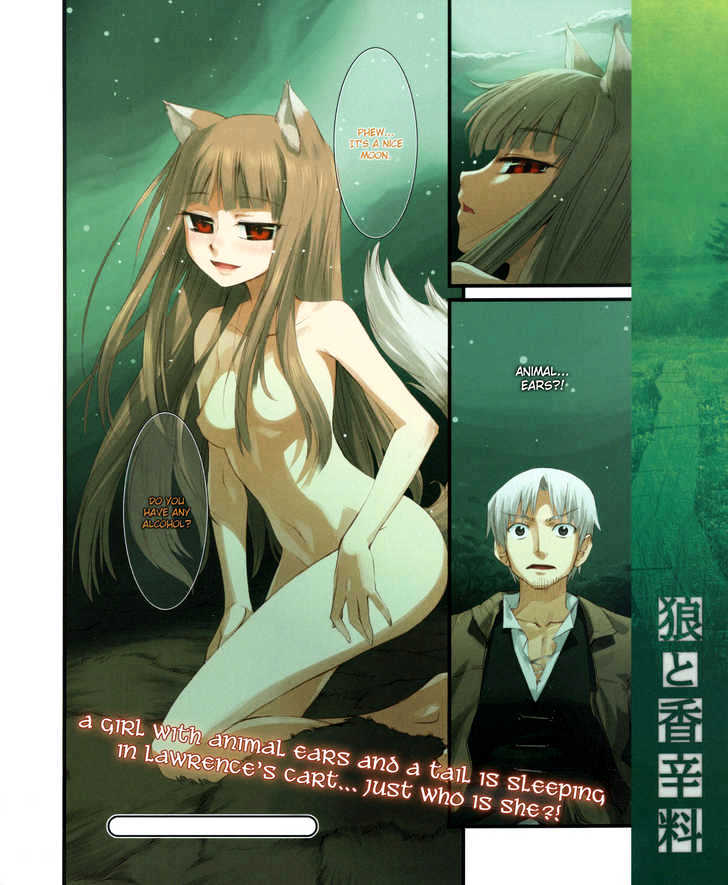 Read Ookami to Koushinryou Manga Online