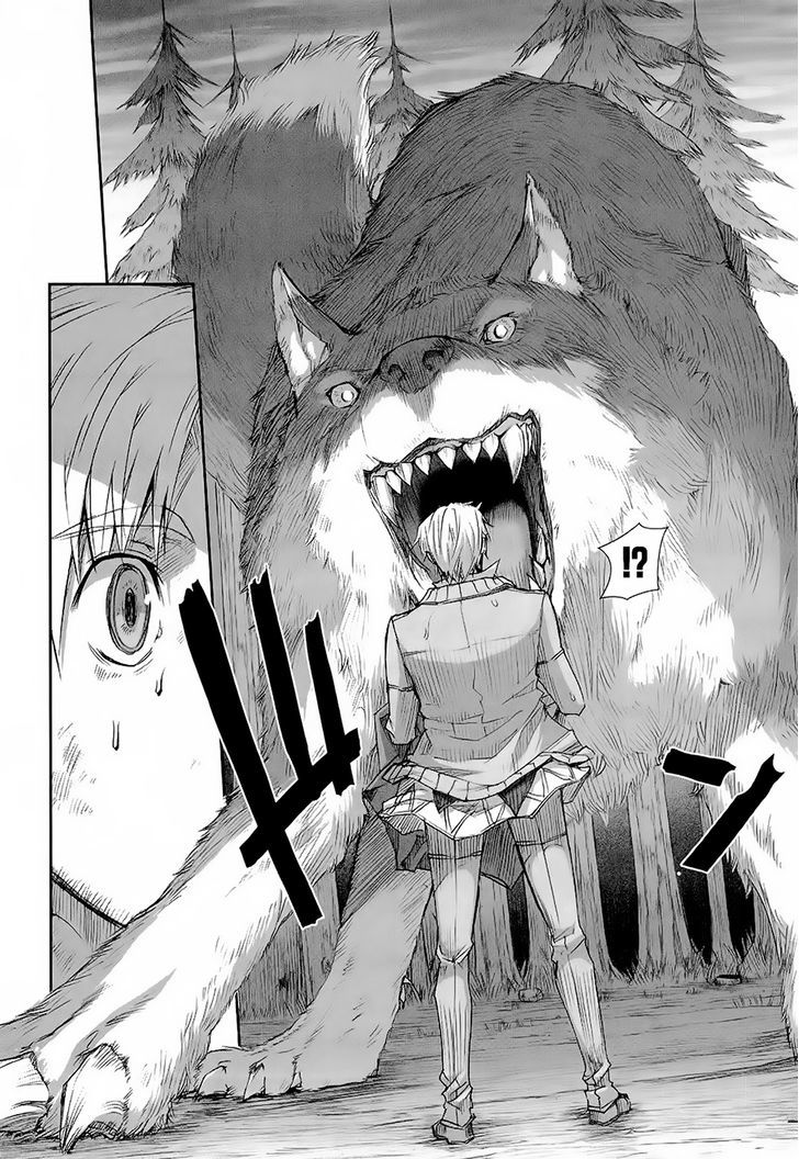 Read Ookami to Koushinryou Manga Online