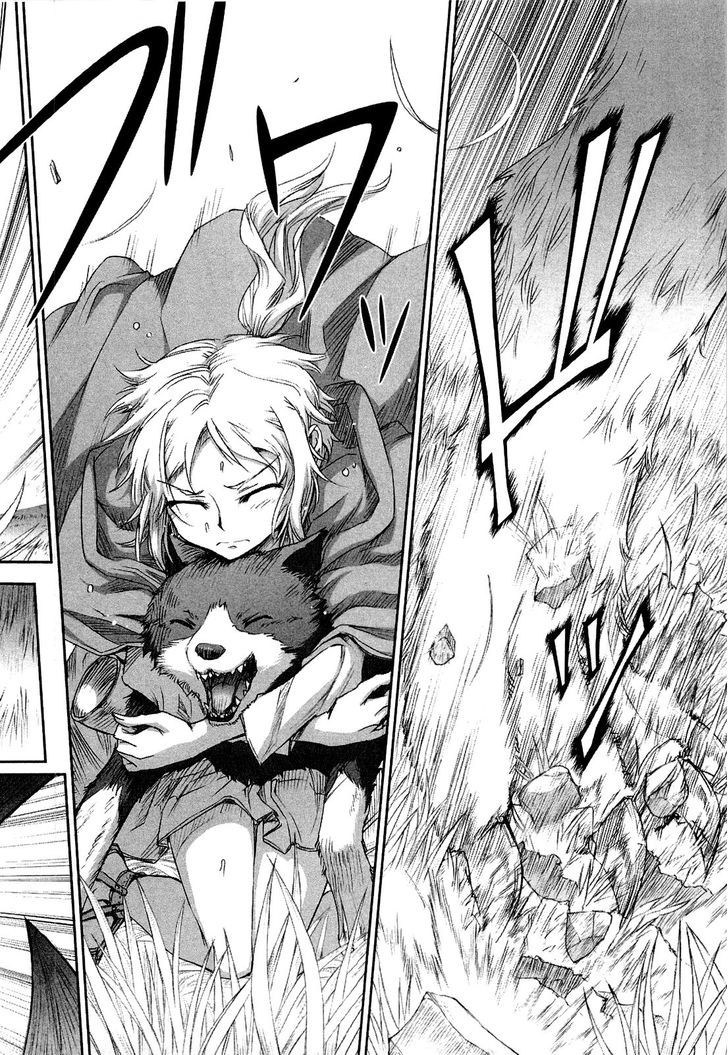 Read Ookami to Koushinryou Manga Online