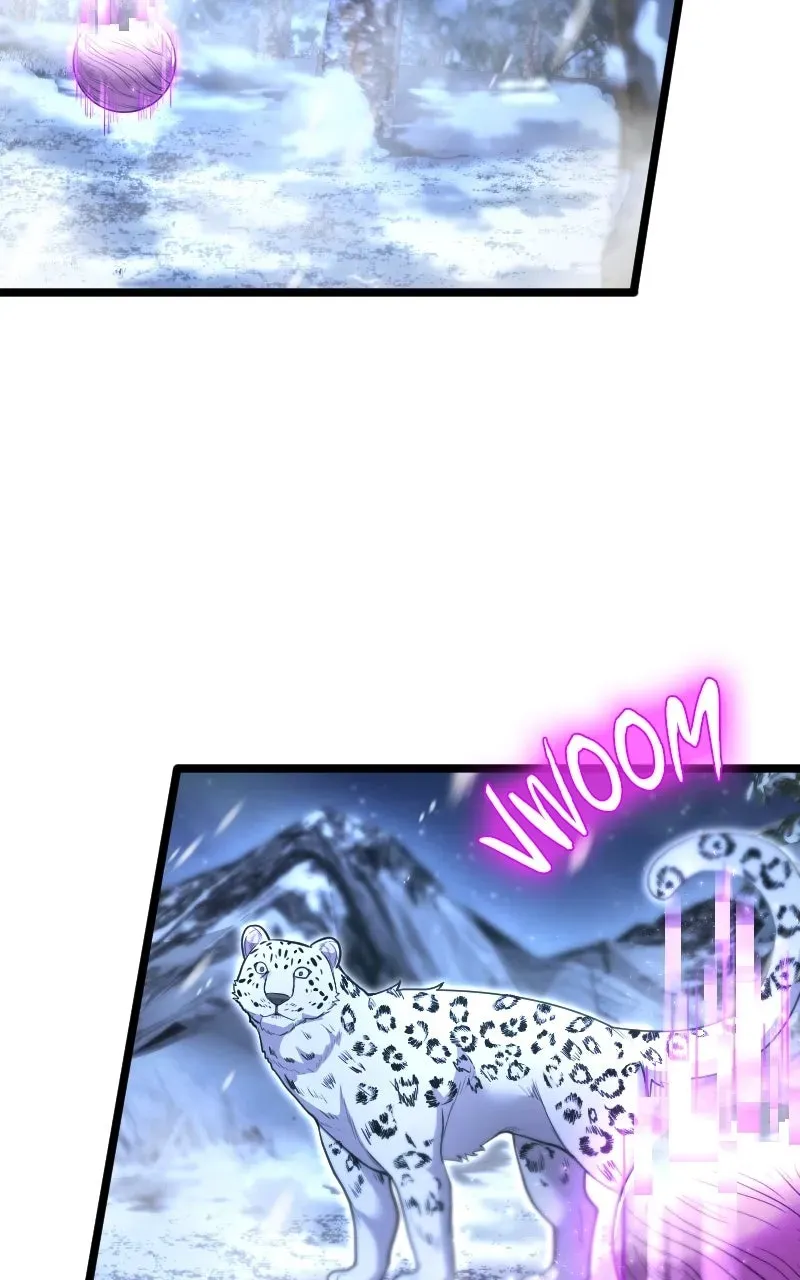 Read Paranoid Mage Manga Online