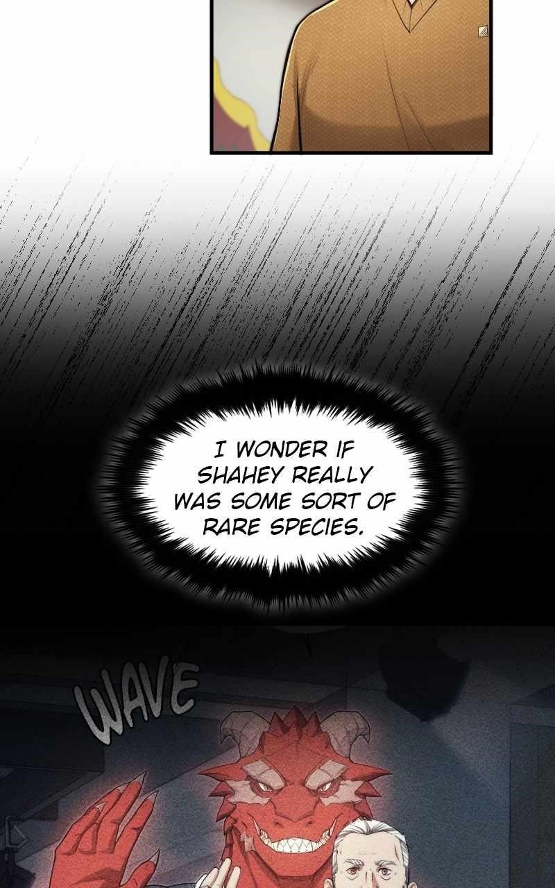 Read Paranoid Mage Manga Online