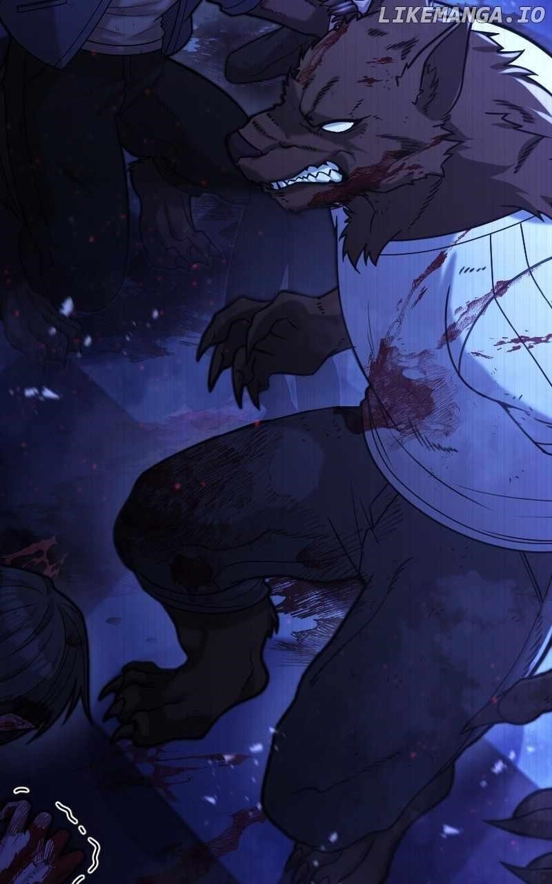 Read Paranoid Mage Manga Online