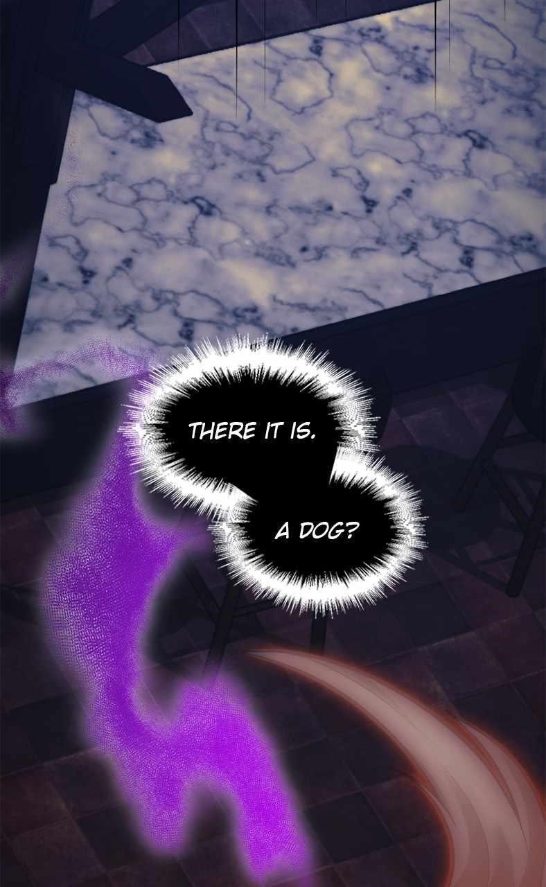 Read Paranoid Mage Manga Online