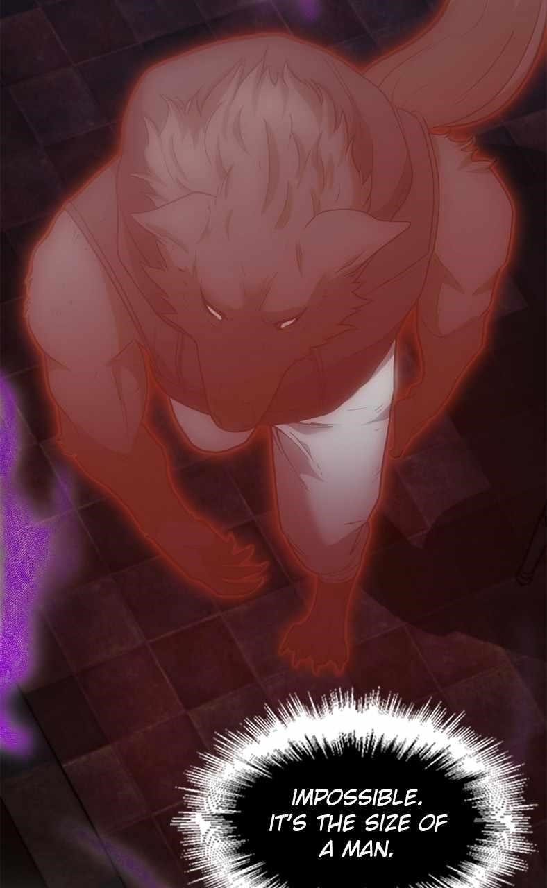 Read Paranoid Mage Manga Online
