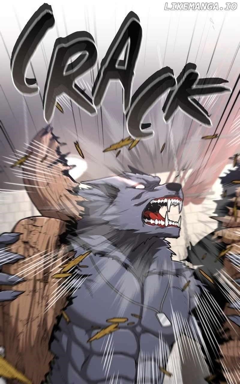 Read Paranoid Mage Manga Online