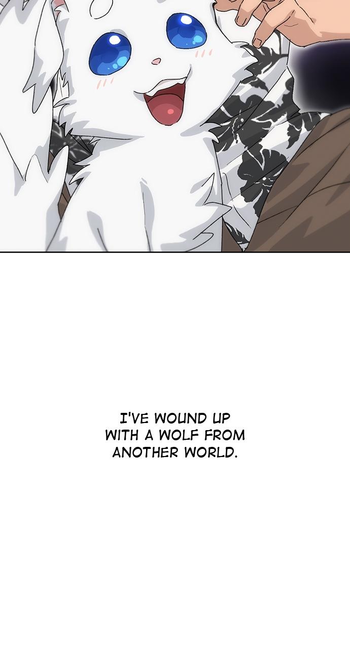 Read Peaceful Camping Life in Another World Manga Online