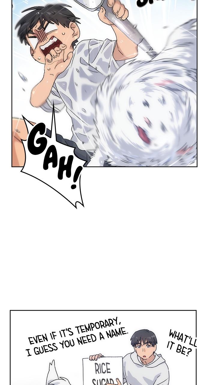 Read Peaceful Camping Life in Another World Manga Online