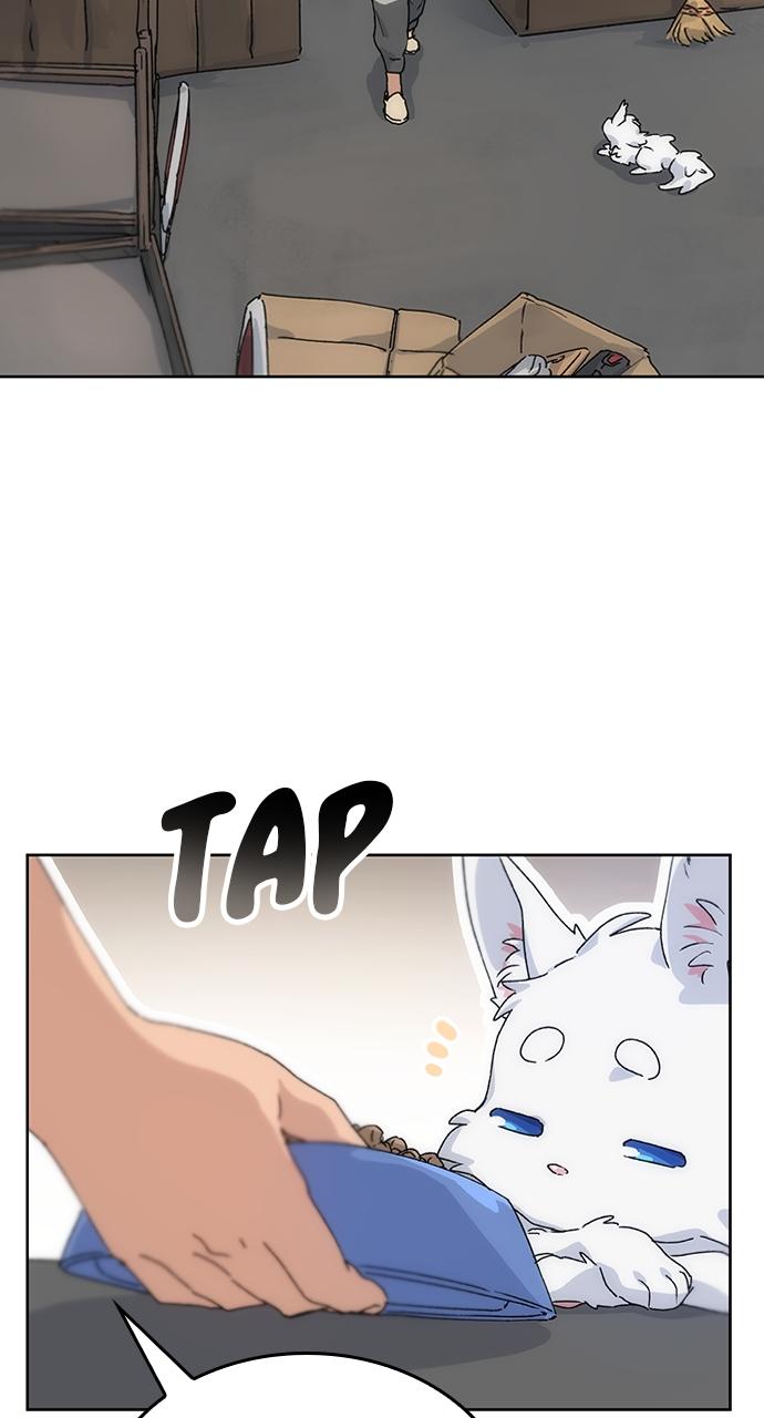 Read Peaceful Camping Life in Another World Manga Online