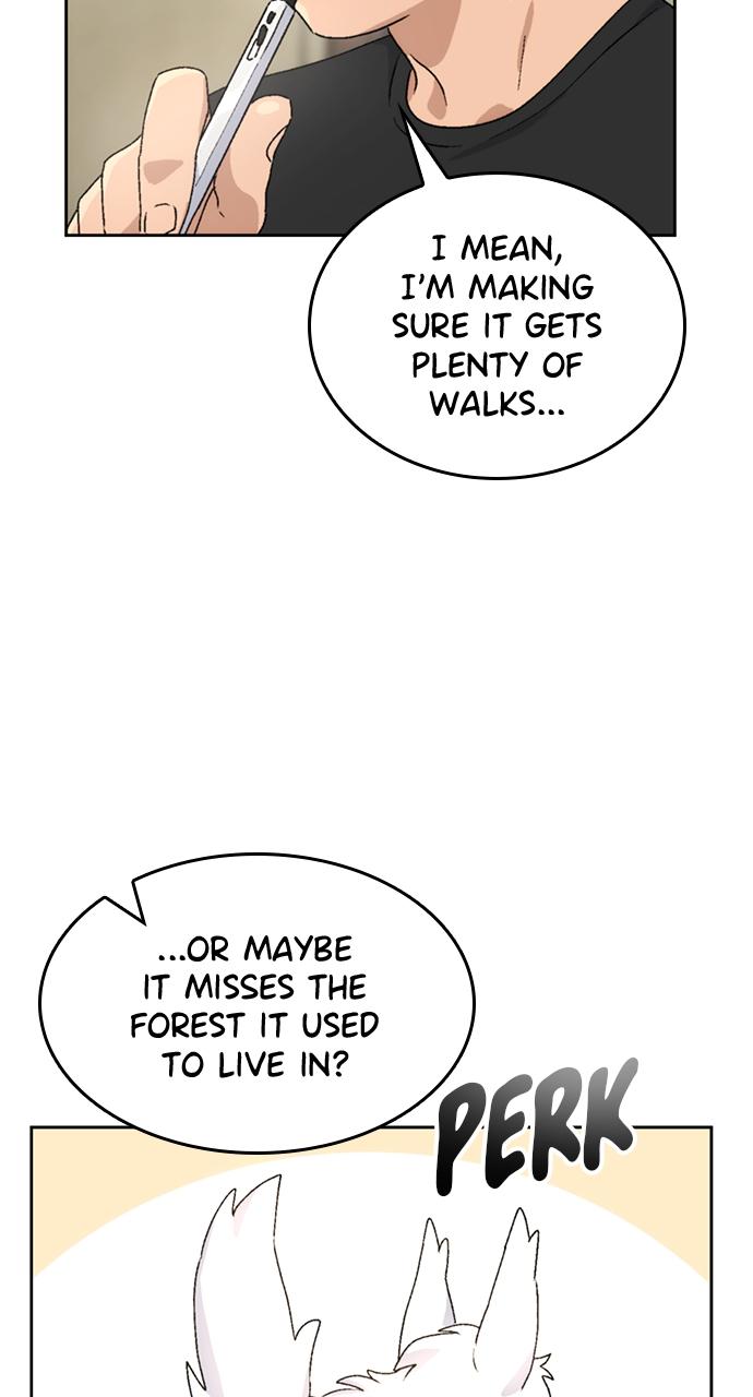 Read Peaceful Camping Life in Another World Manga Online