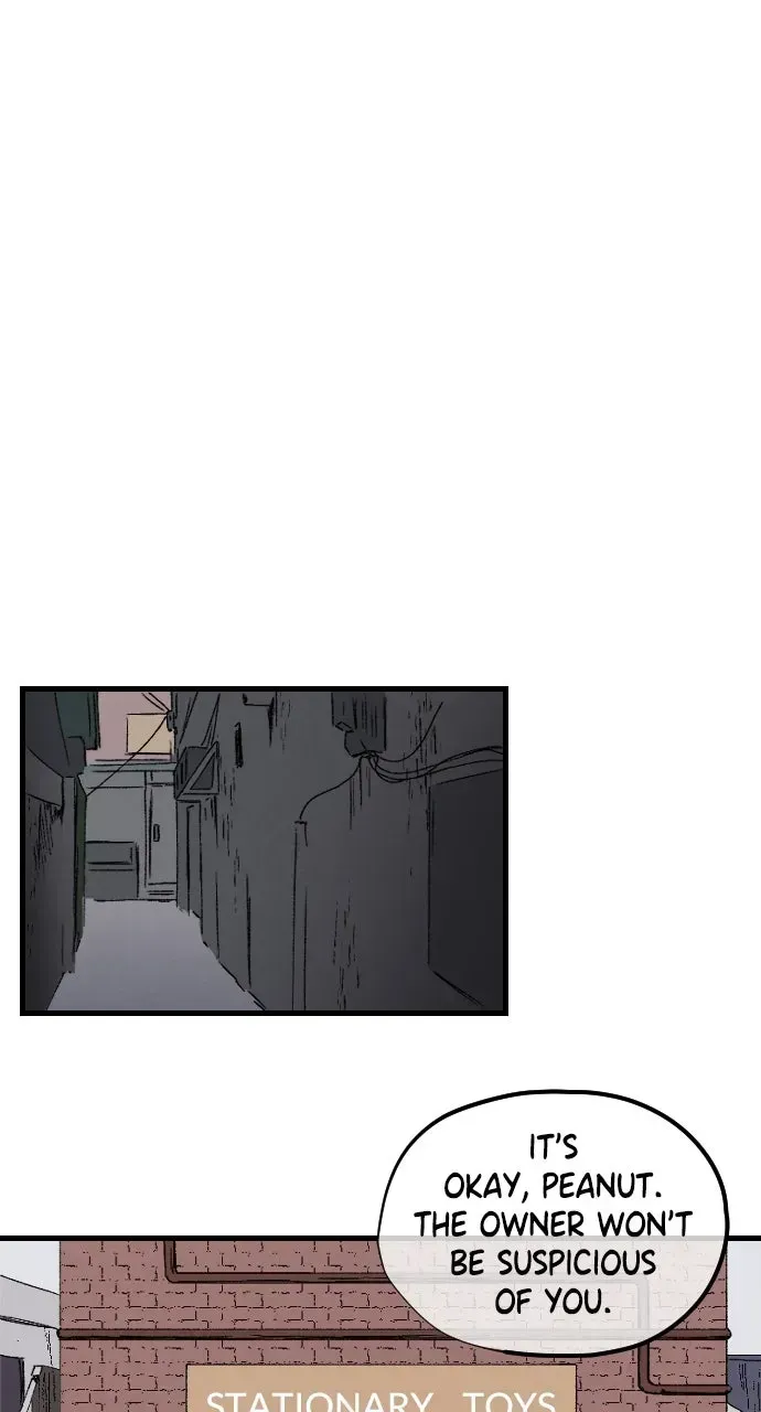 Read Proof of Dignity Manga Online