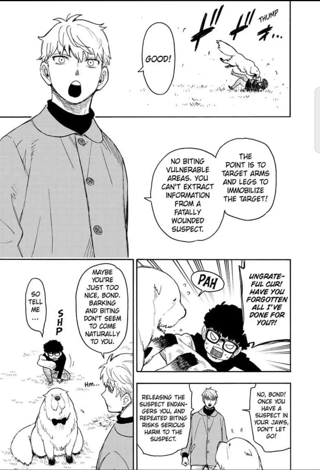 Read SPY x FAMILY (EN) Manga Online