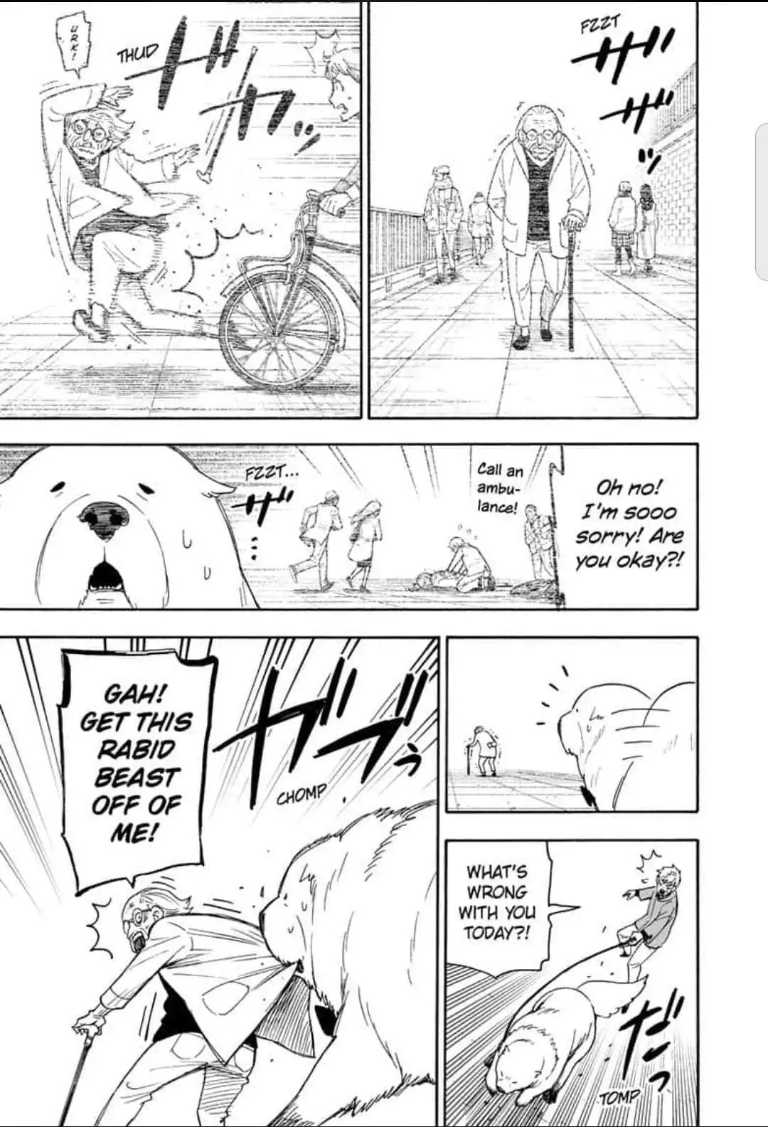 Read SPY x FAMILY (EN) Manga Online