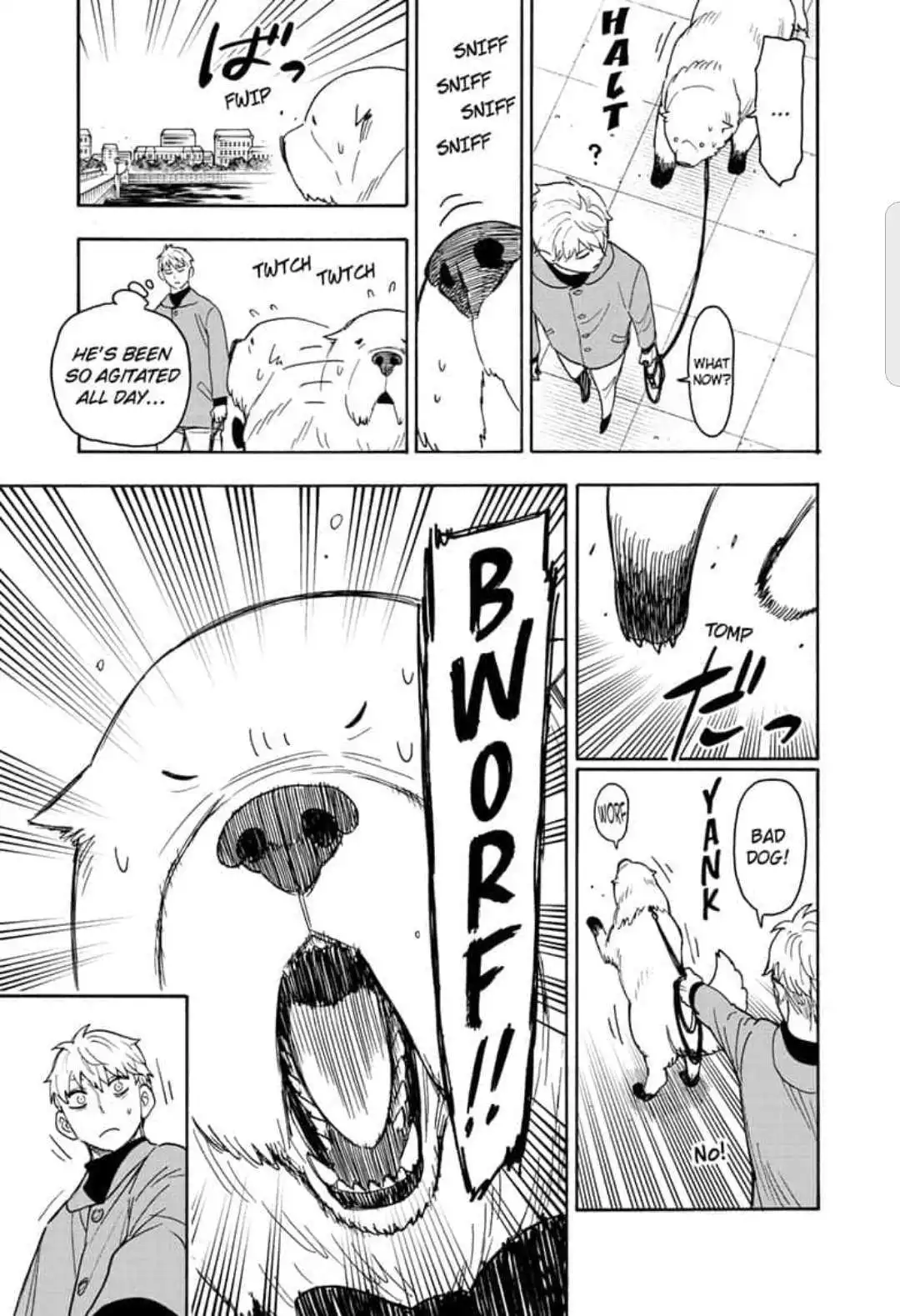 Read SPY x FAMILY (EN) Manga Online