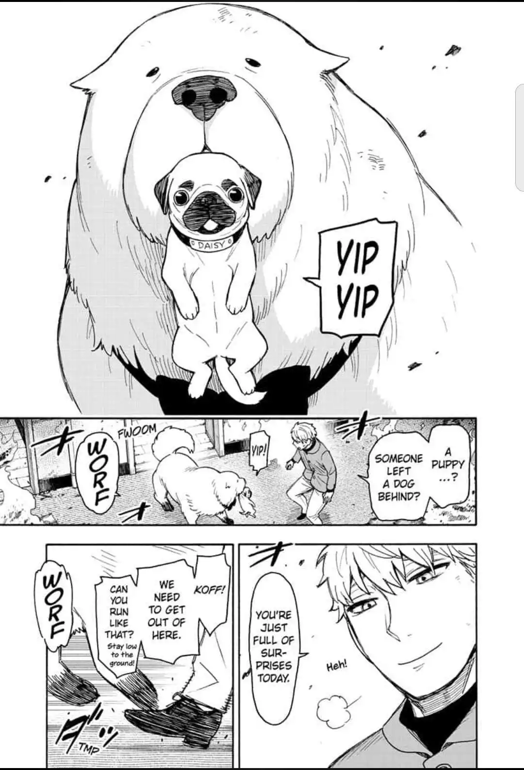 Read SPY x FAMILY (EN) Manga Online
