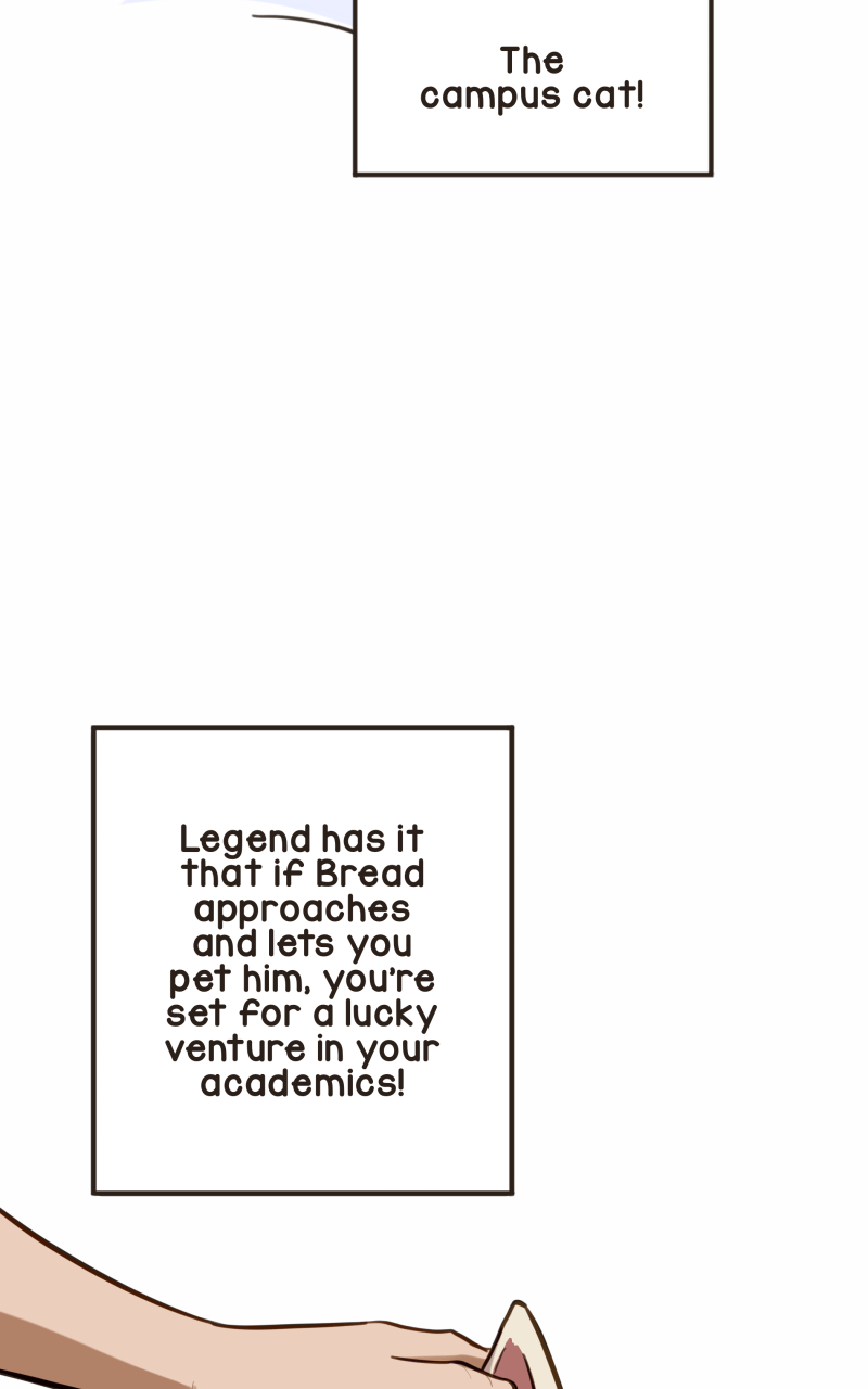 Read So Not My Type Manga Online